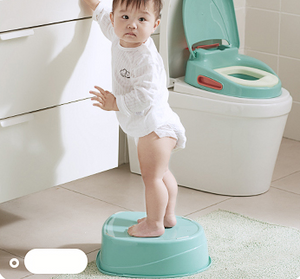 Convertible Potty Trainer