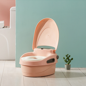 Convertible Potty Trainer